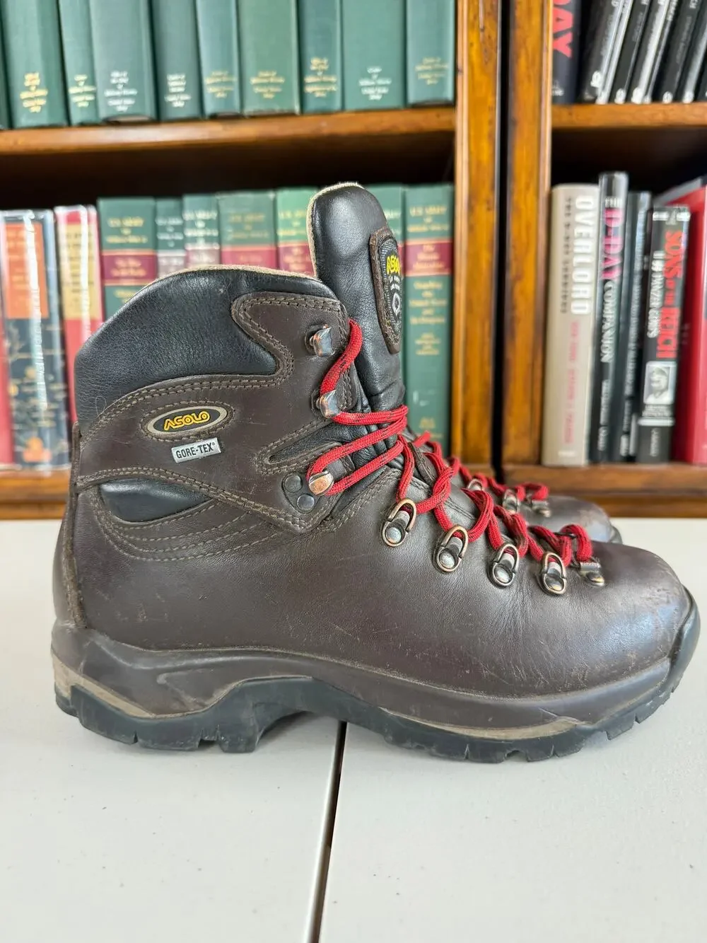 Asolo Evo Gore Tex Hiking Boots Mens 9 Leather Outdoor Brown TPS-520 GTX Utility